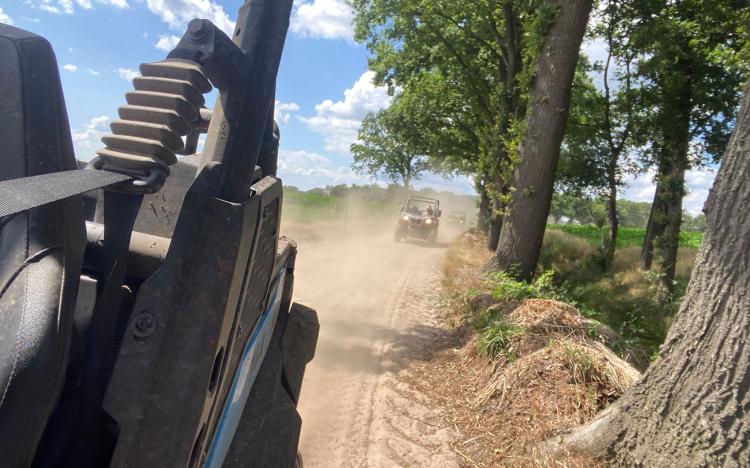 buggy dust