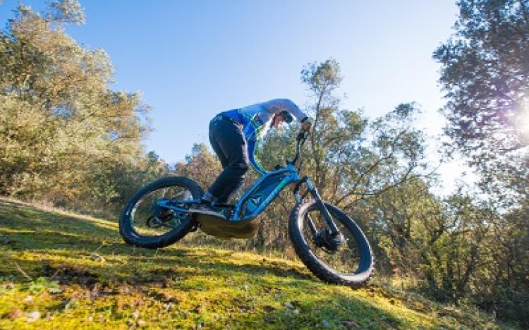 offroad steps